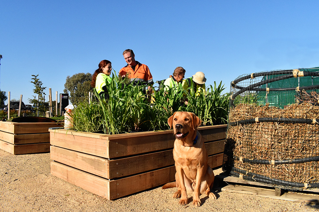 Horticulture students with dog