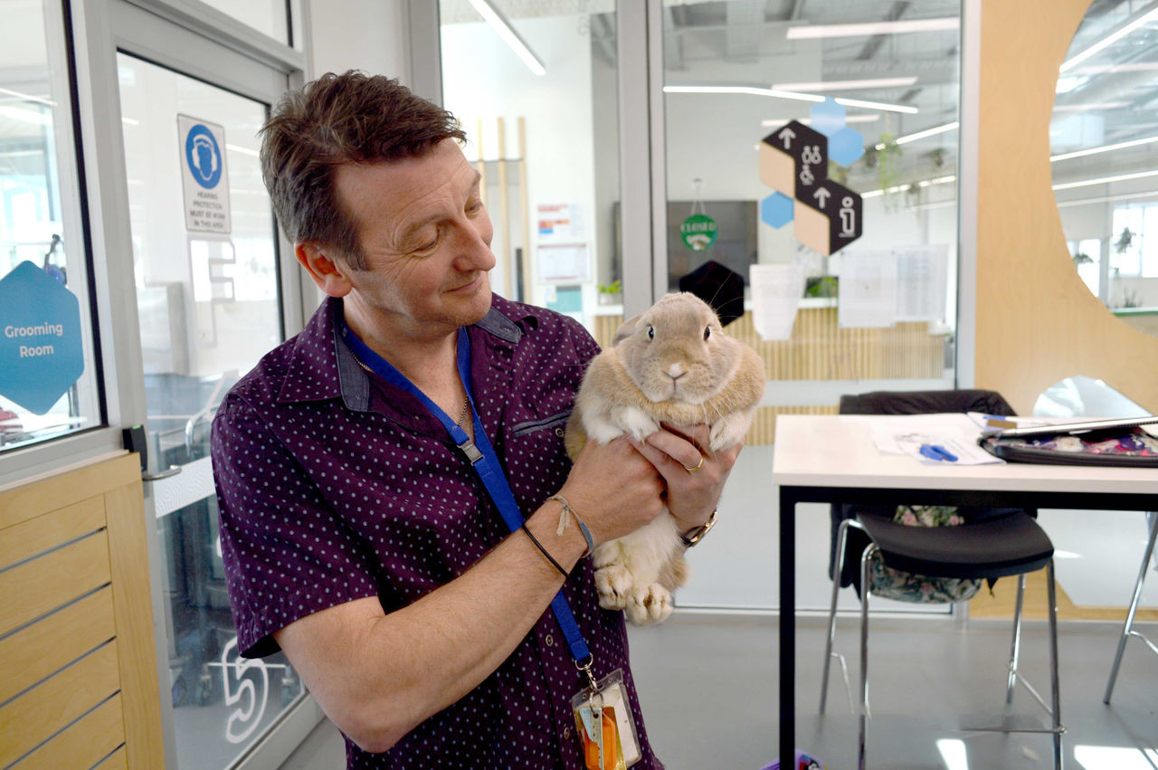 male teacher holding rabbit