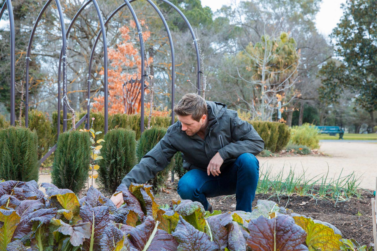 Man working in the garden 
