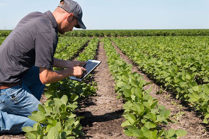 Image of man using pad