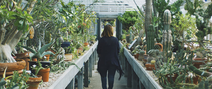 Female walking through garden 