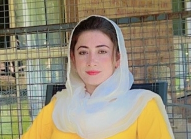 Build a career supporting students in schools